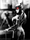 catwoman cosplay yaya han Arkham City mulher gato